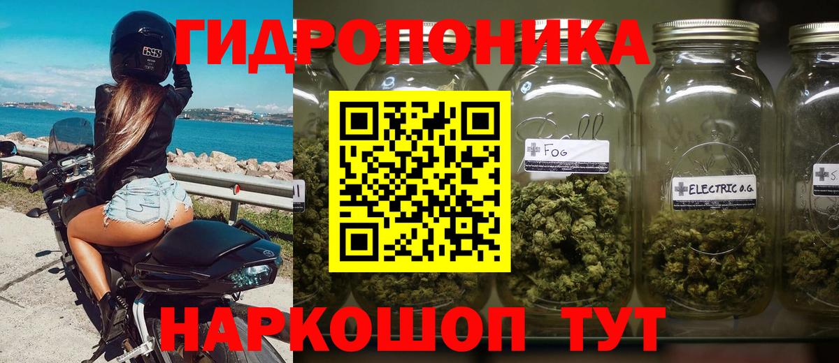 Канабис тримм  Конопля ГИДРОПОН  Вход с VPN  Бошки марихуана индика  Конопля ГИДРОПОН  Бугульма 